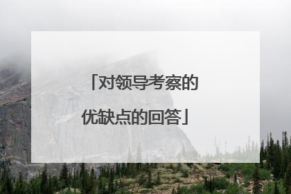 对领导考察的优缺点的回答