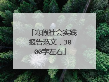 寒假社会实践报告范文，3000字左右