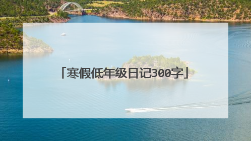 寒假低年级日记300字