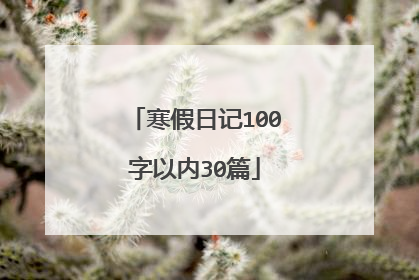 寒假日记100字以内30篇