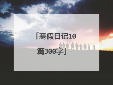 寒假日记10篇300字