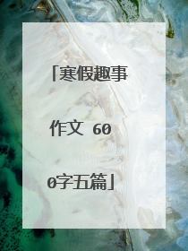 寒假趣事作文 600字五篇