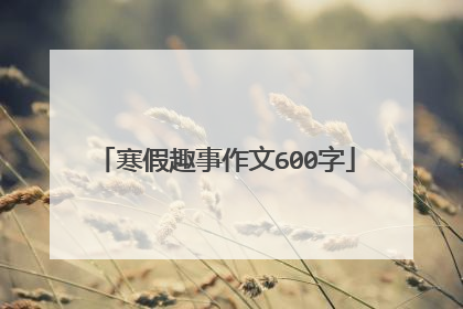 寒假趣事作文600字