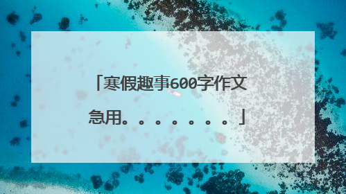 寒假趣事600字作文 急用。。。。。。。