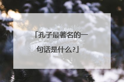 孔子最著名的一句话是什么?