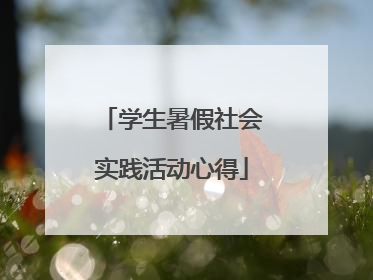 学生暑假社会实践活动心得