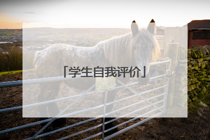 学生自我评价