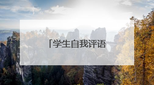 学生自我评语简短100字