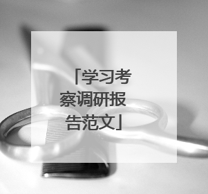 学习考察调研报告范文