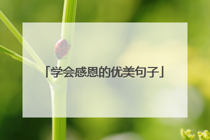 学会感恩的优美句子