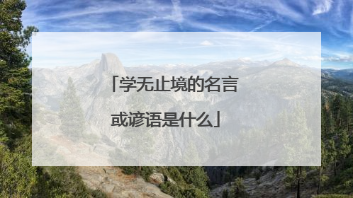 学无止境的名言或谚语是什么