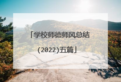 学校师德师风总结(2022)五篇