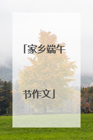 家乡端午节作文