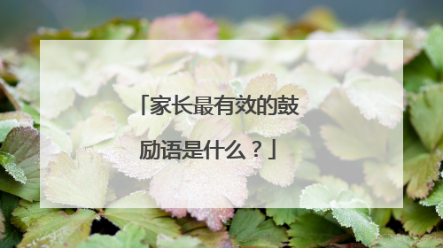 家长最有效的鼓励语是什么？