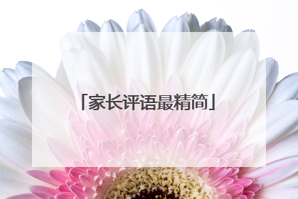 家长评语最精简