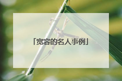 宽容的名人事例