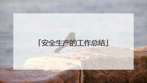 安全生产的工作总结