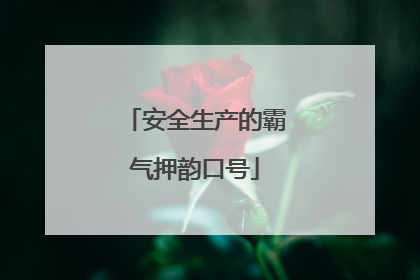 安全生产的霸气押韵口号