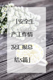 安全生产工作情况汇报总结5篇