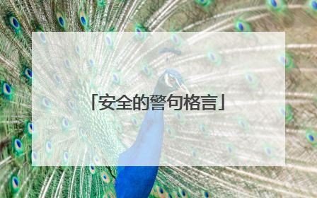 安全的警句格言