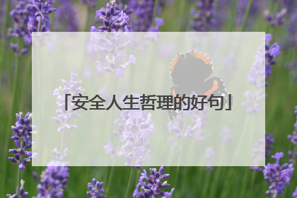 安全人生哲理的好句