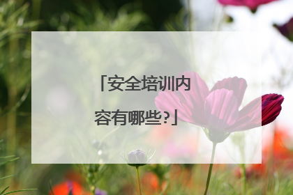 安全培训内容有哪些?
