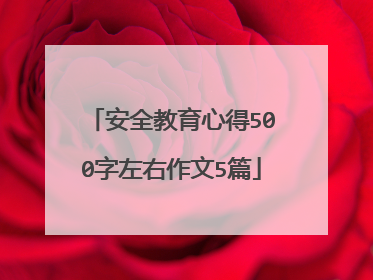 安全教育心得500字左右作文5篇