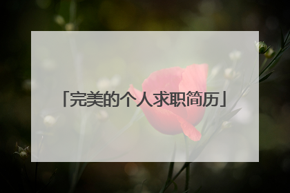 完美的个人求职简历