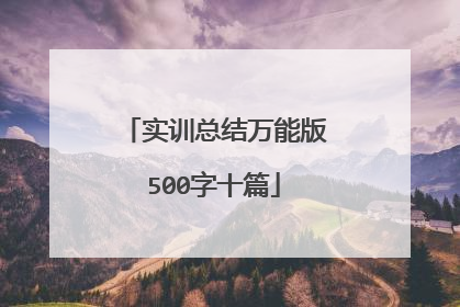 实训总结万能版500字十篇