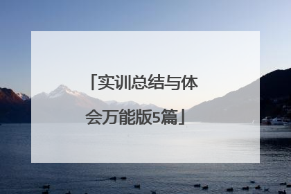 实训总结与体会万能版5篇