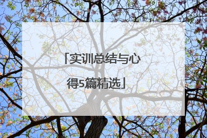 实训总结与心得5篇精选