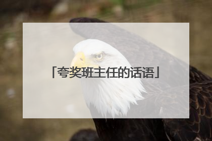 夸奖班主任的话语