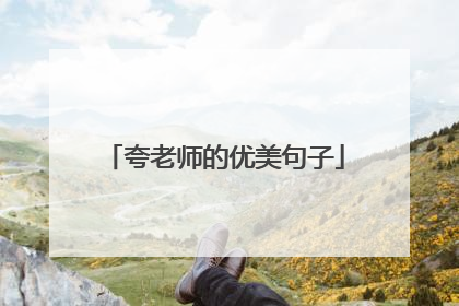夸老师的优美句子