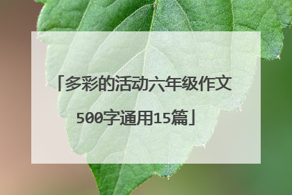 多彩的活动六年级作文500字通用15篇