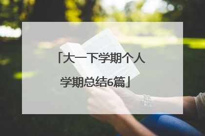 大一下学期个人学期总结6篇