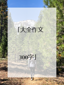 大全作文300字