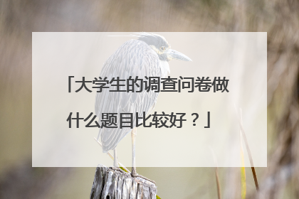 大学生的调查问卷做什么题目比较好？
