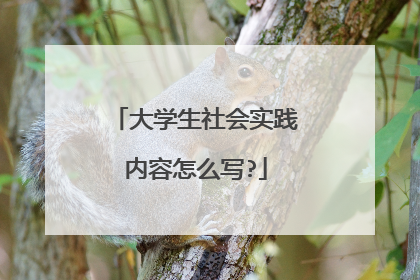大学生社会实践内容怎么写?