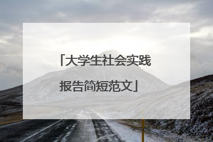 大学生社会实践报告简短范文
