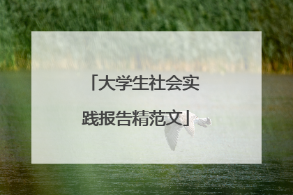 大学生社会实践报告精范文