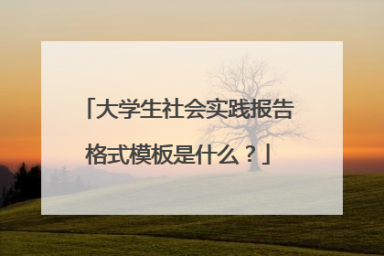 大学生社会实践报告格式模板是什么？