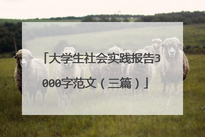大学生社会实践报告3000字范文（三篇）