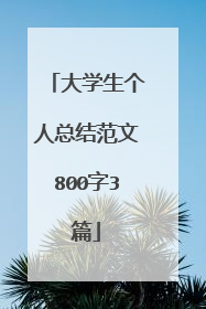 大学生个人总结范文800字3篇