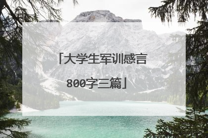 大学生军训感言800字三篇
