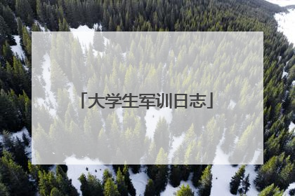 大学生军训日志