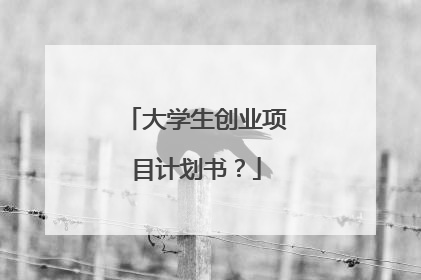 大学生创业项目计划书？