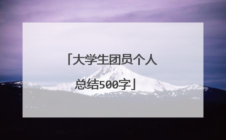 大学生团员个人总结500字
