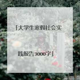 大学生寒假社会实践报告3000字