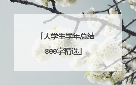 大学生学年总结800字精选