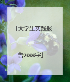 大学生实践报告2000字